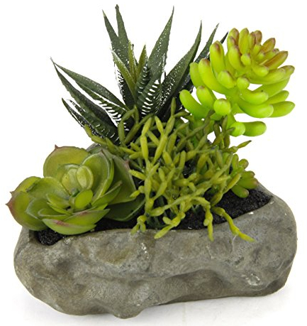 Flair Flower Succulenten auf Stein, Plastik, grün, 12 x 13 x 10 cm