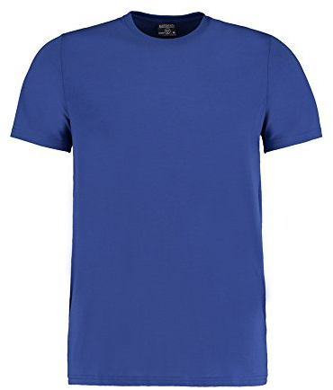 Kustom Kit Mens Superwash 60 Fashion Fit T-Shirt (M) (Royal)