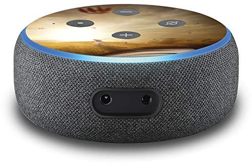 2er Set Folie Cover für intelligenten Smart Speaker Lautsprecher Aufkleber Schutzfolie Skin selbstklebend passgenau Klebefolie für Sprachassistent R137 (Nr. 20 Fantasy)