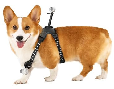 Insta360 - GO 3/GO 3S Pet Harness Mount Size M