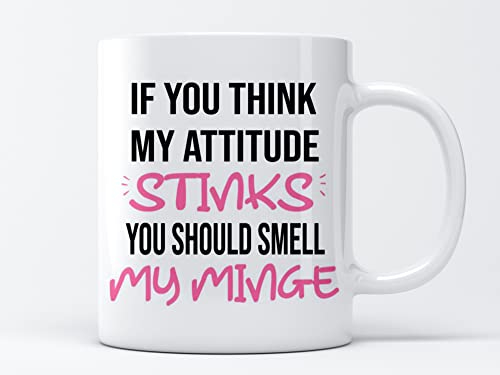 EKAM Funny Text If You Think My Attitude Stinks You Should Smell My Minge Ceramic Mug Gifts Coffee/Tea Mug Gifts for Birthday Present, Gift Present for Christmas for Your Family and Friends (11oz Mug)