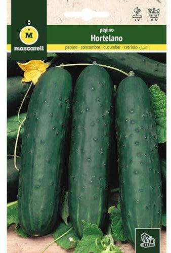 Mascarell Semillas, PEPINO, Semillas Huerto, PEPINO HORTELANO, Crea tu Propio Huerto Urbano y Cultivo en Casa, Plantas Hortícolas, 5 Gramos