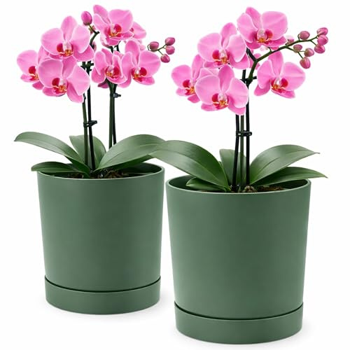 PECZEKO Blumentopf matt, Pflanzkübel aus Übertopf Kunststoff Dekorativer Topf für, groß und klein Pflanzen, 2er-Set blumenkübel, blumenkübel kräutertopf (2 Pack) Grün, ø 13 cm