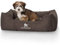 Knuffelwuff Hundebett Finlay aus Nylongewebe M-L 85 x 63cm Braun - Hundesofa mit erhöhte Ränder und abnehmbarem Bezug - leicht zu reinigen - für große, mittelgroße und kleine Hunde