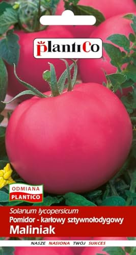 PlantiCo Tomaten Himbeere Maliniak 0,5 g Samen Tomatensamen Robuste Gemüsesamen Gemüse Samen Anzucht Saatgut Gewächshaus Garten Gemüsegarten