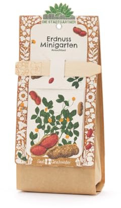 Die Stadtgärtner Erdnuss Anzuchtset Starter-Komplettset mit Saatgut, Anzuchterde & Pflanzgefäß | Perfekt als besonderes Geschenk, Mitgebsel und Aufmerksamkeit