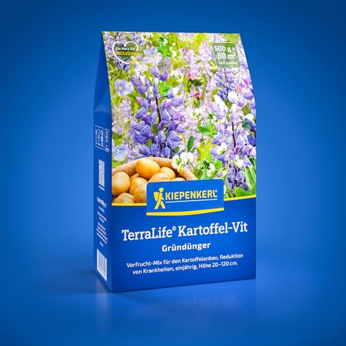 Kiepenkerl TerraLife® Kartoffel-Vit 1081700, Gründüngungssaat | Gründüngersaatgut für den Kartoffelanbau, Gründünger, Bodenlockerung, Bodenverbesserer, Höhe 20-120 cm, einjährig