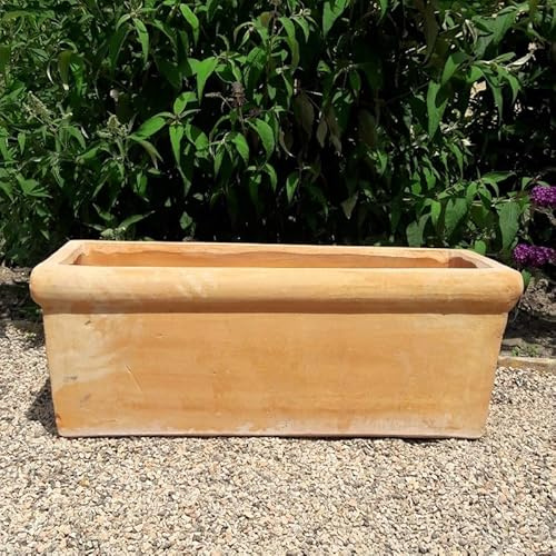 Palatina Werkstatt Terracotta Pflanzkasten Blumenkasten rechteckig – wetterfest, frostsicher & dekorativ für Garten, Balkon & Terrasse, Erika (80 cm)