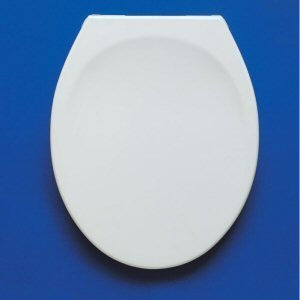 Armitage Shanks Genuine S405001 Astra toilet seat and cover