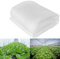 Filet de protection anti-insectes en maille fine pour jardin, serre, plantes, fruits, fleurs, cultures