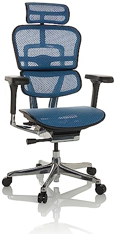hjh OFFICE Bürostuhl ergonomisch ERGOHUMAN GEN2 Originales Design, 24h Einsatz Bürosessel mit Flexibler Lordosenstütze, Netz Blau