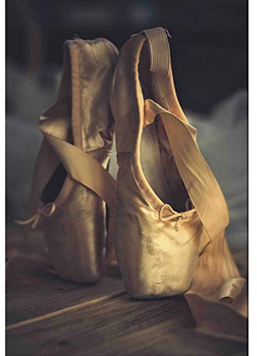 QYQY DIY 5D Ballerina Ballette Schuhe Full Diamond Painting Kreuzstich-Kits Kunst Hochwertige szenische 3D-Farbe von Diamanten(15.8x19.7inch)
