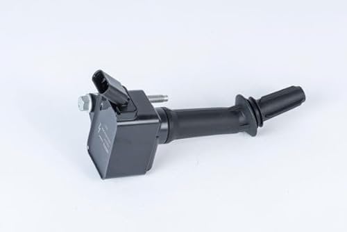 BorgWarner (BERU) ZSE237 Zündspule