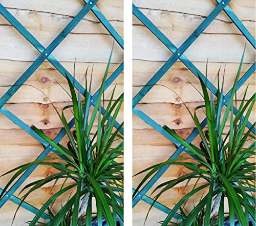 Set Of 2 6ft Expanding Wooden Garden Trellis Climbing Plant Support Fence Green 6ft x 2ft