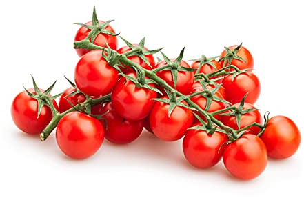 valeaf BIO Tomaten Anzuchtset I Tomaten züchten Tomaten Saatgut I Tomatensamen alte Sorten I Tomate Starter Kit I Tomaten Anzucht Set Gemüse Samen I Tomaten Samen Set