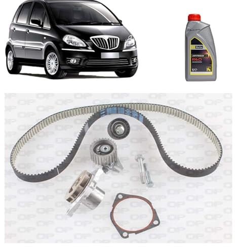 Kit distribuzione + p acqua + antigelo per Lancia Musa 1.6 D Multijet gasolio 2004-2012