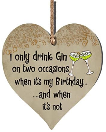 Handmade Wooden Hanging Heart Plaque Gift for Gin Lovers Novelty Funny Birthday Keepsake