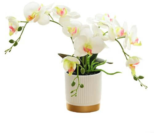 Elegante Phalaenopsis-Orchidee für Bücherregale, Schreibtische und Tische, atemberaubende Innendekoration (weiß)