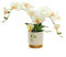 Elegante Phalaenopsis-Orchidee für Bücherregale, Schreibtische und Tische, atemberaubende Innendekoration (weiß)
