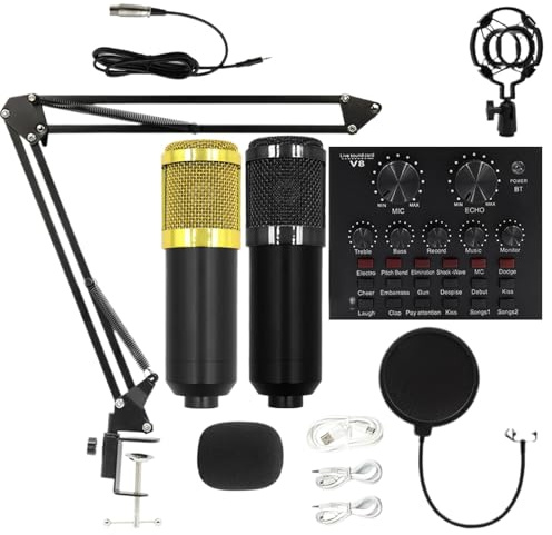 Ensemble de microphones d'enregistrement – Diffusion conviviale, équipement de baladodiffusion, outil d'enregistrement vocal, équipement audio de bureau | Kit de microphone de streaming convivial pour