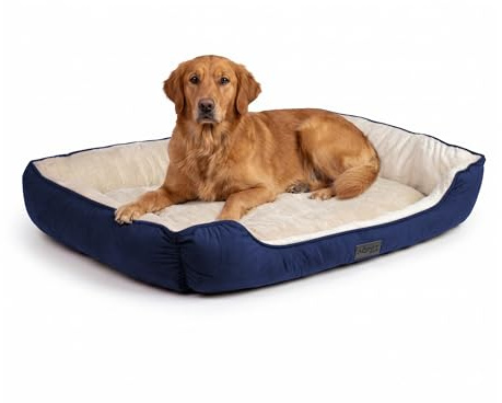 AQPET Aqpetfriends Sofy Hunde- und Katzenbett für drinnen mit weichem Kissen – waschbares Hundebett mit Rutschfester Unterseite – bequemes Haustierbett 100 x 85 cm, Blau