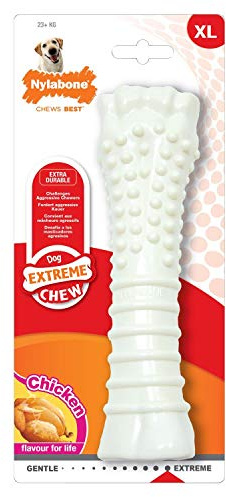 Nylabone Souper Chicken Flavoured Dog Chew Toy (One Size) (May Vary)
