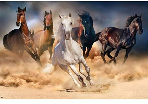 Grupo Erik Editores Five Horses Poster - Kunstdruck - Deko Wohnzimmer oder Deko Schlafzimmer - Deko Zimmer - Größe : 61 x 91 - Offizielle Lizenz - Fast & Furious Fanartikel