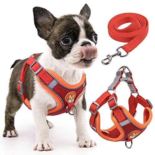 rennaio Hundegeschirr Kein Ziehen, Verstellbares Welpengeschirr mit 2 Leinenclips, Reflektierendes Hundegeschirr und Leine Set für kleine und mittelgroße Hunde (Rot, S)
