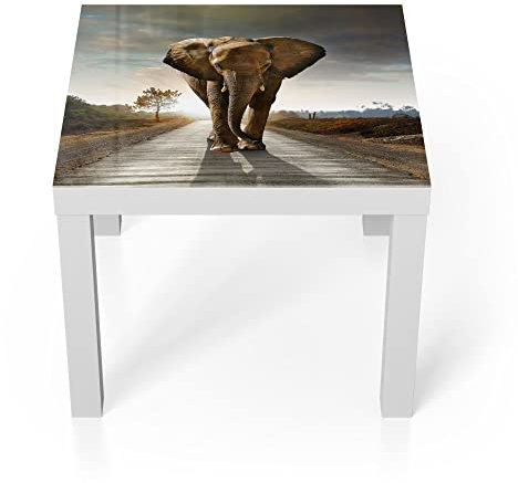DEQORI Glastisch | weiß klein 55x55 cm | Motiv Elefant auf Asphalt | ausgefallener Beistelltisch aus Glas | Hochglanz Couchtisch fürs Wohnzimmer | moderner Couch Tisch mit Design