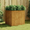 FIRBNUS Jardinière Extérieure 80x80x80 cm Rouillé Acier Corten Résistant aux Intempéries Pot de Jardin Cadre Robuste Mobilier de Patio Cultiver Plantes Fleurs Légumes Décorer Balcon Cour