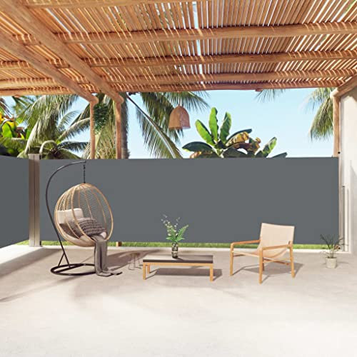 INLIFE Seitenmarkise Ausziehbar Anthrazit 180x1000 cm