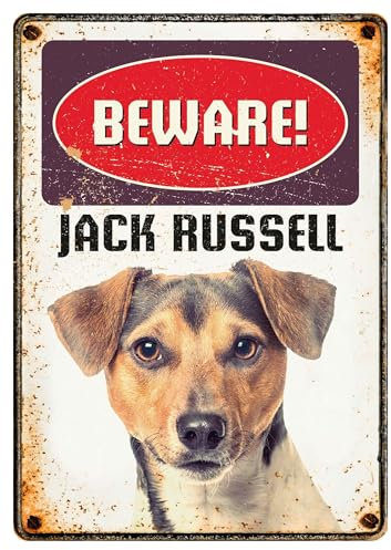 Plenty Gifts Blechschild im Retro-Stil, Aufschrift Beware! Jack Russell Illustration, 21 x 14,8 cm, Wanddekoration, für drinnen und draußen
