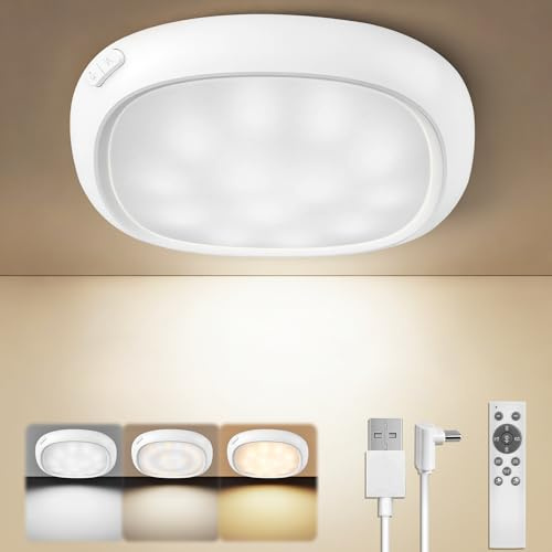 Ddlisu USB Wiederaufladbare Deckenleuchte mit Fernbedienung, Dimmbar, Wasserdicht, 12000mAh, Kabellose LED Badezimmerleuchte, Garagenbeleuchtung, Pir-Innenbeleuchtung für Dachboden und Flur