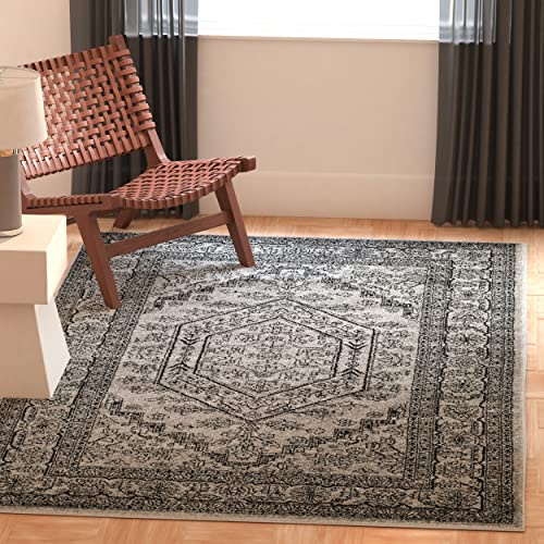 SAFAVIEH Adirondack Accent Rug 3x5, Silver & Black ADR108A