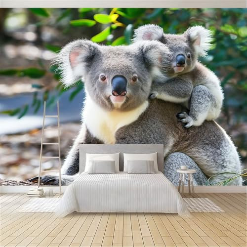 Fototapete 3D Tier Koala 300x210 cm Vliestapete Wandbild Fototapeten Vlies Tapeten Wandtapete Schlafzimmer Wohnzimmer Kinderzimmer Moderne Wanddeko