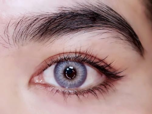 Light Violet Violett+ Behälter | Sehr stark deckende natürliche Violett Kontaktlinsen farbig | farbige Monatslinsen aus Silikon Hydrogel | 1 Paar (2 Stück) | DIA 14.00 | (-5.00 Dioptrien,Pola violett)