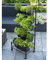 lvssiao Erhöhtes Gartenbett Pflanzkasten zum Bepflanzen, Nature Vertikale Garten-Pflanzwand Mobiles Set Kräuterbeet für Zuhause Balkon Pflanzenkasten