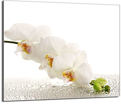 Herdabdeckplatte 60x52 Einteilig Glas Elektroherd Induktion Herdschutz Spritzschutz Glasplatte Deko Schneidebrett, Orchidee Weiß