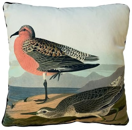Pyramid International John James Audubon 'Red Breasted Sandpiper' 40x40 Cushion - Stunning Nature-Inspired Design - One Size