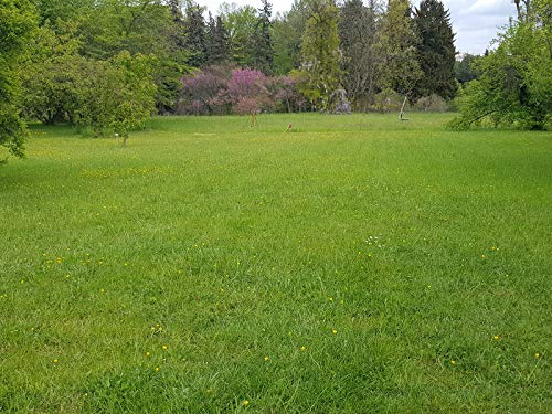 RSM 7.2.1 ohne Kräuter / Landschaftsrasen Trockenlagen 10 Kg