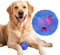 Hundeball mit Zahnpflege Noppen Hundespielzeug aus Naturkautschuk - Robuster Ball Ø 7,5cm - Hundespielball für Große & Kleine Hunde - Kauspielzeug aus Naturgummi für Leckerli (Blau)