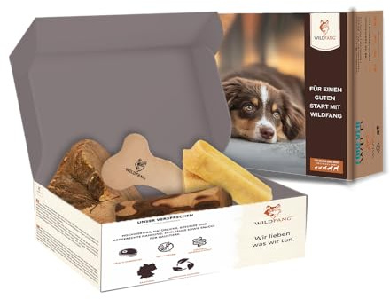 Wildfang® Willkommen Jungspund Kauspielzeug Set für Hunde – Natur Hundespielzeug & Welpenspielzeug inklusive Olivenholz Kauwurzel Baumheide Leder Kauknochen Hund und Probierset Hartkäse Hundeleckerli