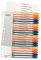 Leitz PC-beschriftbares Register, 6er Pack, PP, Extrabreit, Mehrfarbig, Zahlen 1-20, 12960000