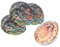 WOONEKY 4 Pièces à Eau Poussoir à Eau avec Motif de Coquille d'ormeau à Eau conçu avec Un Motif d'ormeau à gicler pour Gamin gicler des Jouets Plastique