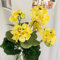 SPORTARC Künstliche Blumen, Simulierte Begonie Künstliche Blume, Seide Geranie Pflanze Blumen für Garten Home Office Party Dekor, Gelb