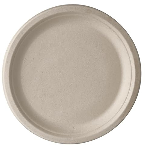 500 Teller, Zuckerrohr pure ungeteilt Ø 23 cm · 2 cm natur