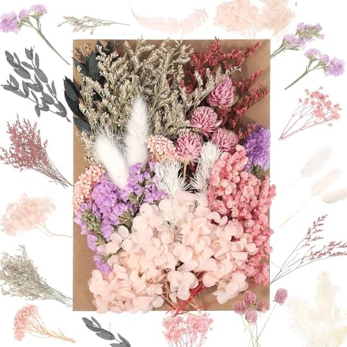 JIEYUCHU Fiori Secchi Decorativi, Fiori Secchi Naturali, Realizzato con Fiori veri, non sbiadiscono Facilmente, Fiori Secchi per candele fai da te,resina,scrapbooking,artigianato e decorazioni