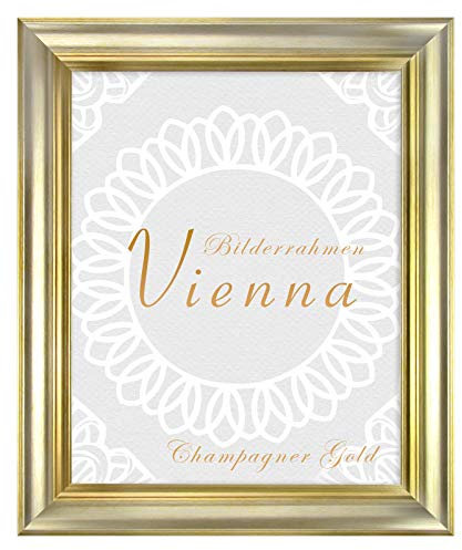 BIRAPA Cadre photo Vienna 90 x 120 cm en verre synthétique antireflet de 2 mm Doré champagne