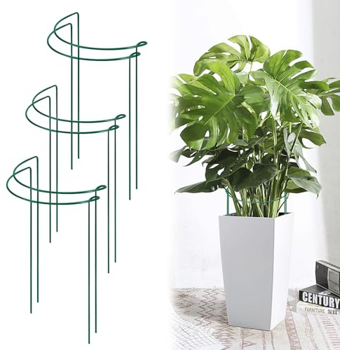 Halbrund Pflanzenstütze Ringkäfige,6 Stück Pflanzenhalter Metall,Ringkäfige für Gartenpflanzen,Staudenhalter Blumenstütze,Pflanze Rankhilfe für Gemüse,Tomaten,Pfingstrosen,Rosen,Topfpflanzen (20*35CM)