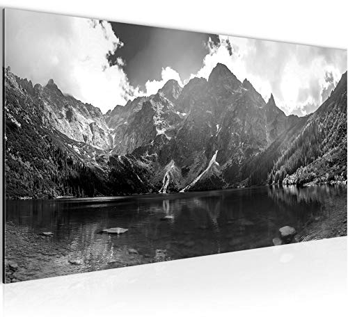 Runa Art Wandbild Berge Landschaft 1 Teilig 100 x 40 cm Modern Bild auf Vlies Leinwand Natur Schlafzimmer Wohnzimmer Schwarz Weiss 024612c